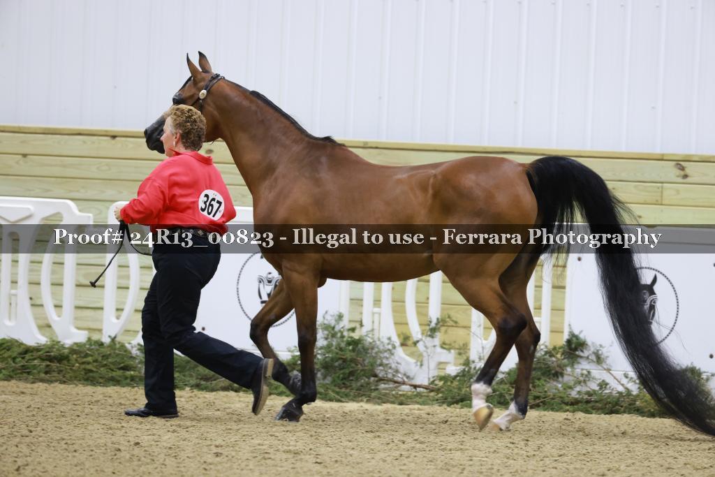Proof 24R13_00823