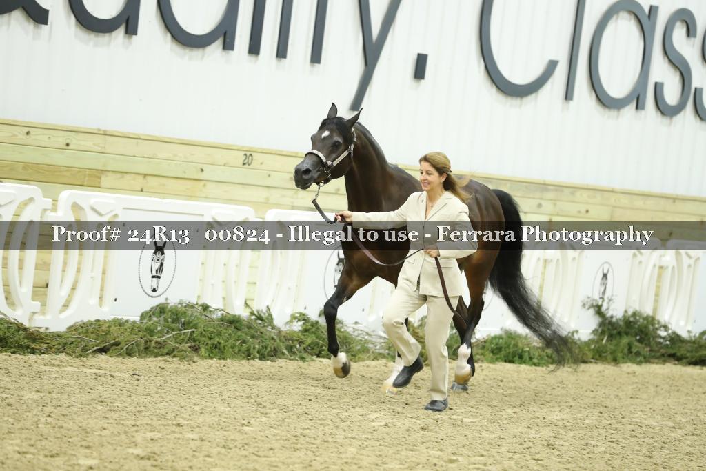 Proof 24R13_00824