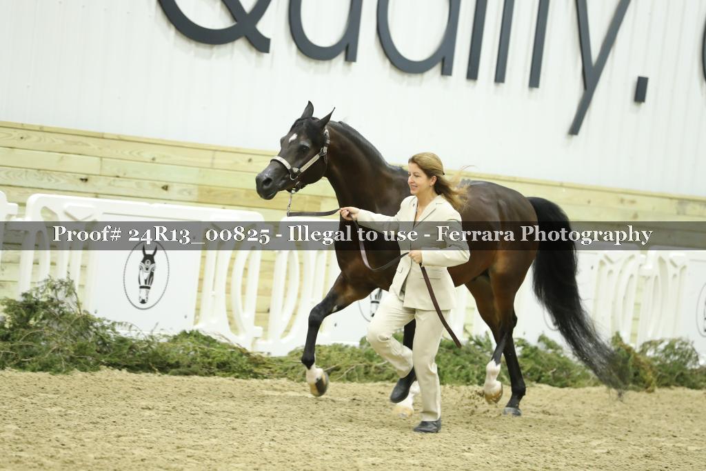 Proof 24R13_00825