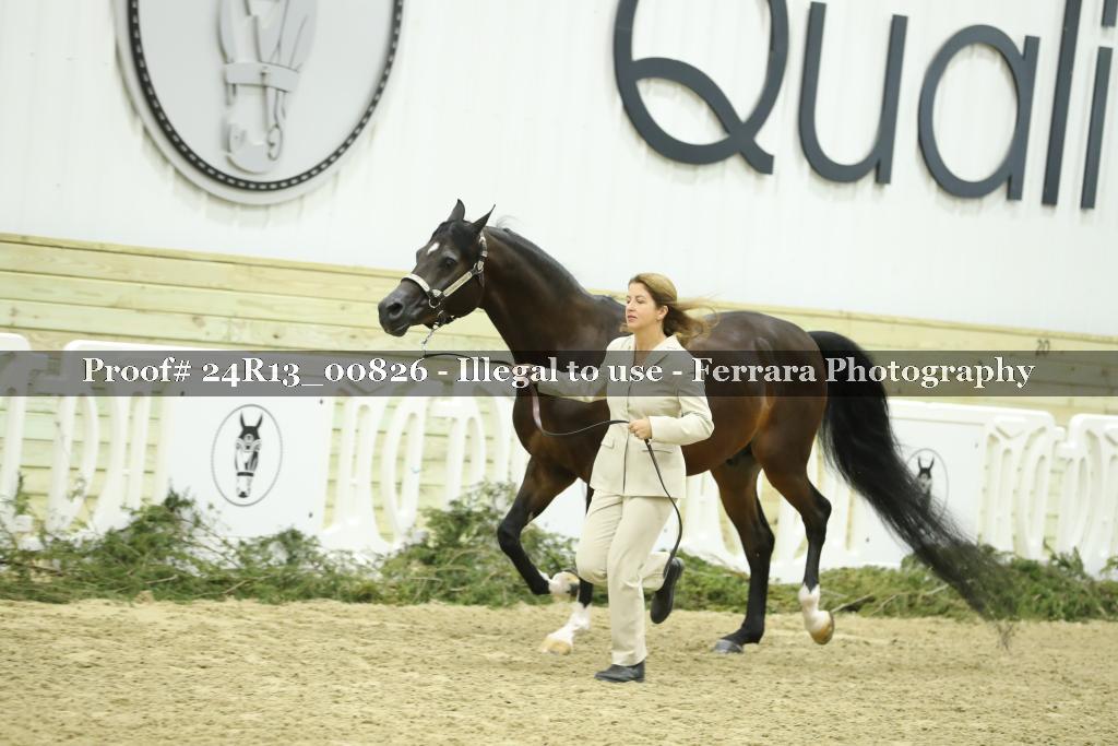 Proof 24R13_00826