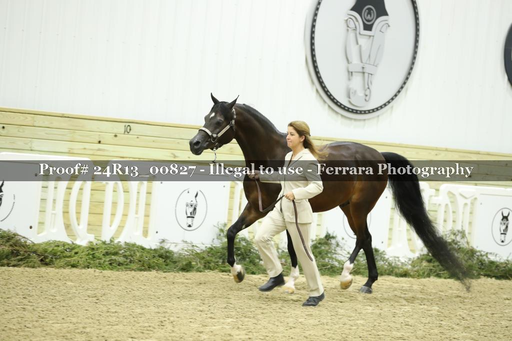Proof 24R13_00827