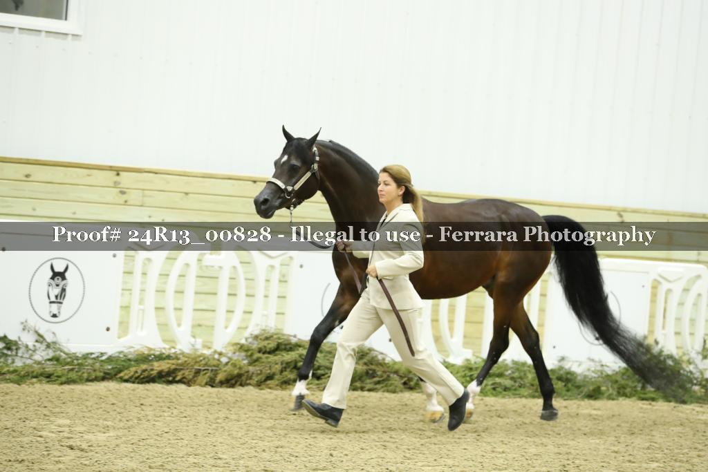 Proof 24R13_00828