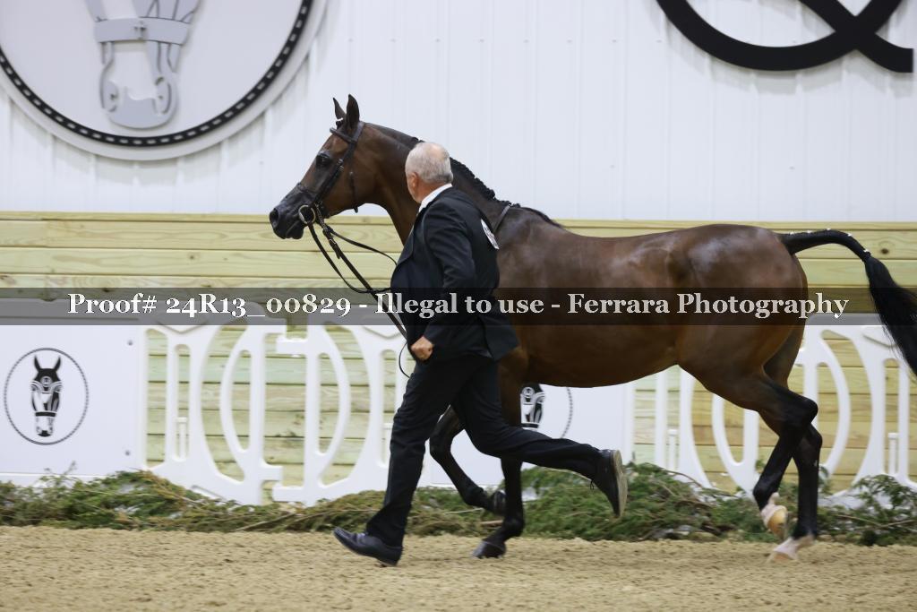 Proof 24R13_00829