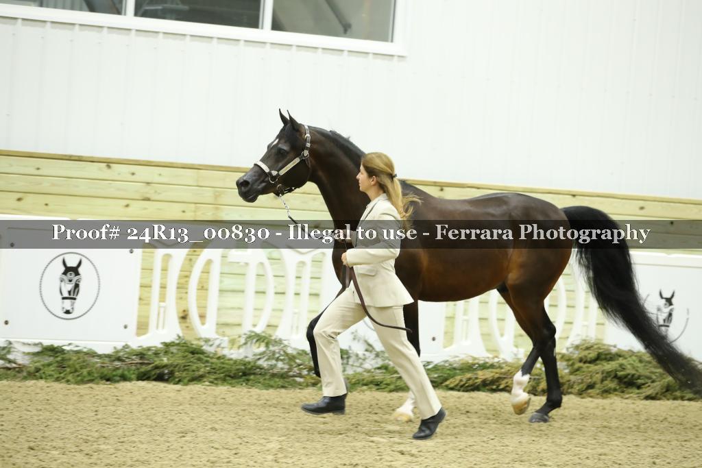 Proof 24R13_00830