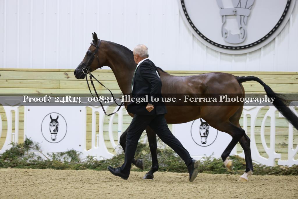 Proof 24R13_00831