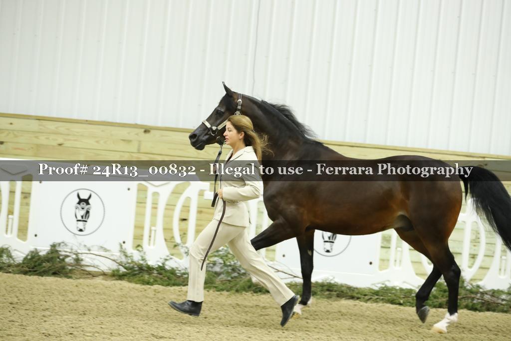 Proof 24R13_00832