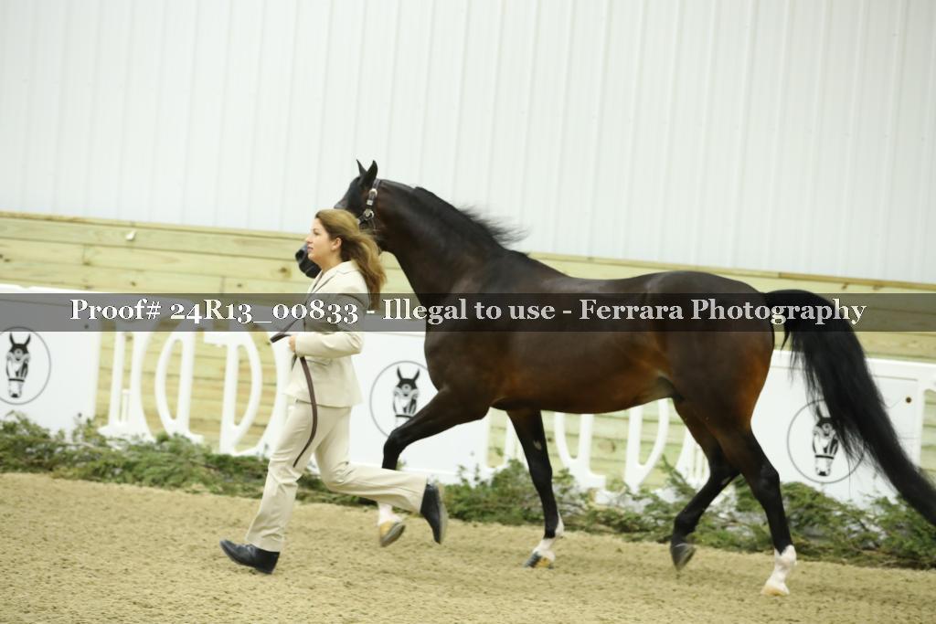 Proof 24R13_00833