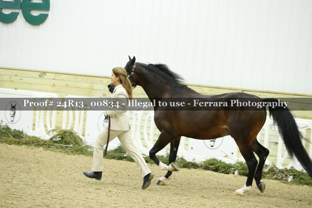 Proof 24R13_00834