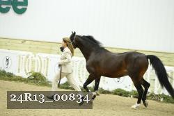 24R13_00834 proof