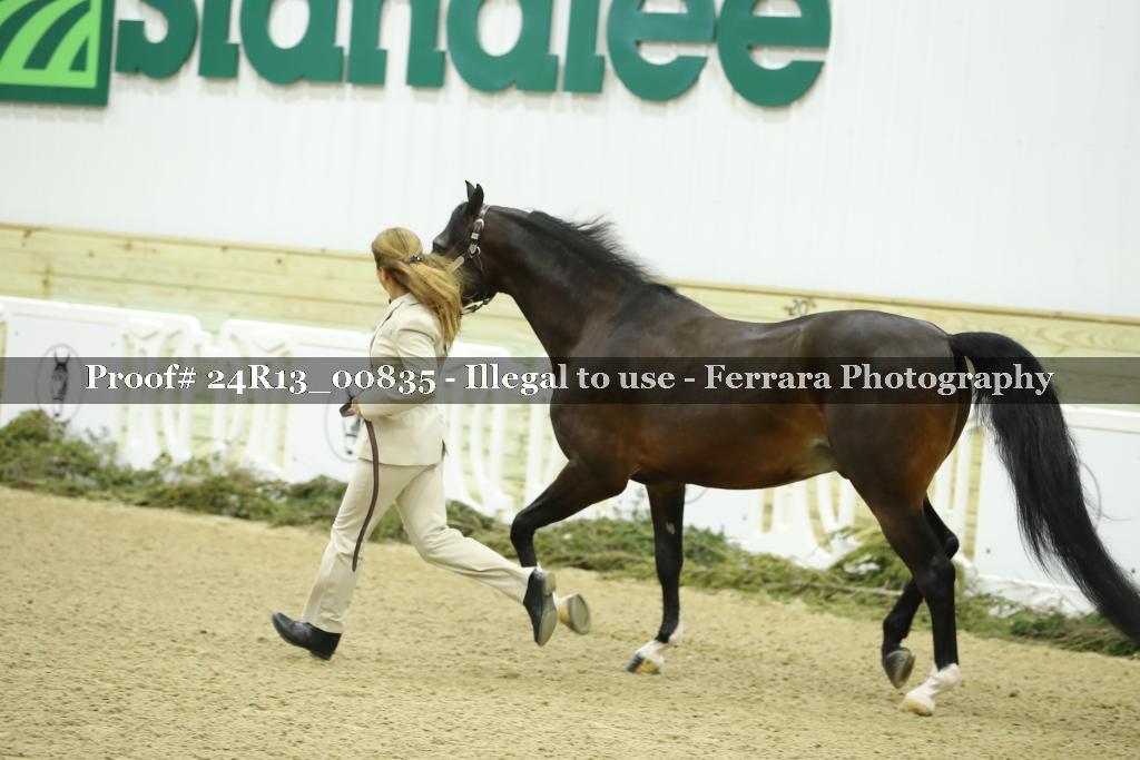 Proof 24R13_00835