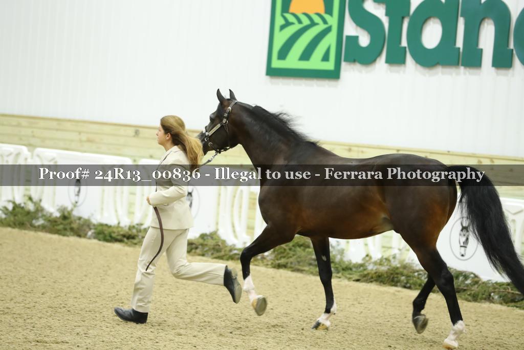 Proof 24R13_00836