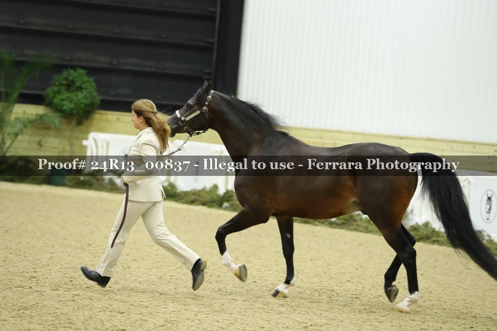 Proof 24R13_00837