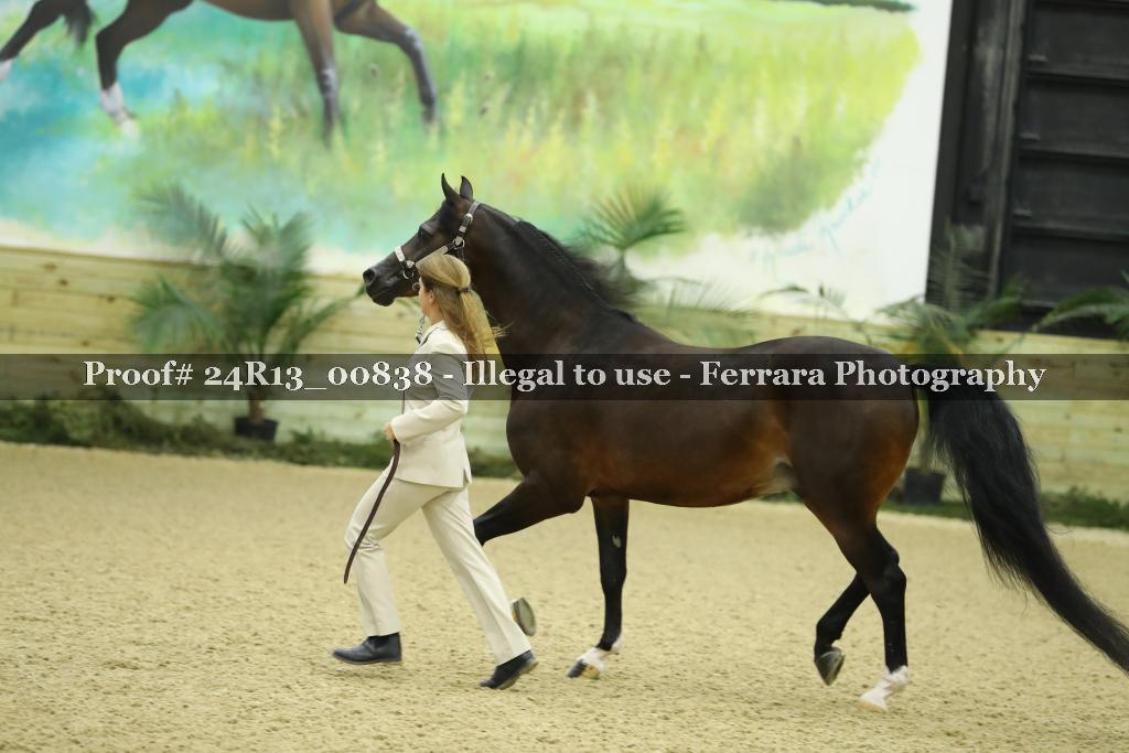 Proof 24R13_00838