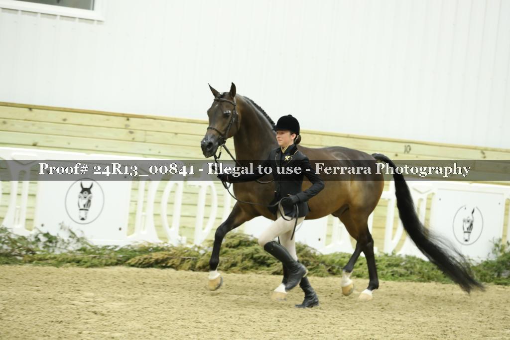 Proof 24R13_00841
