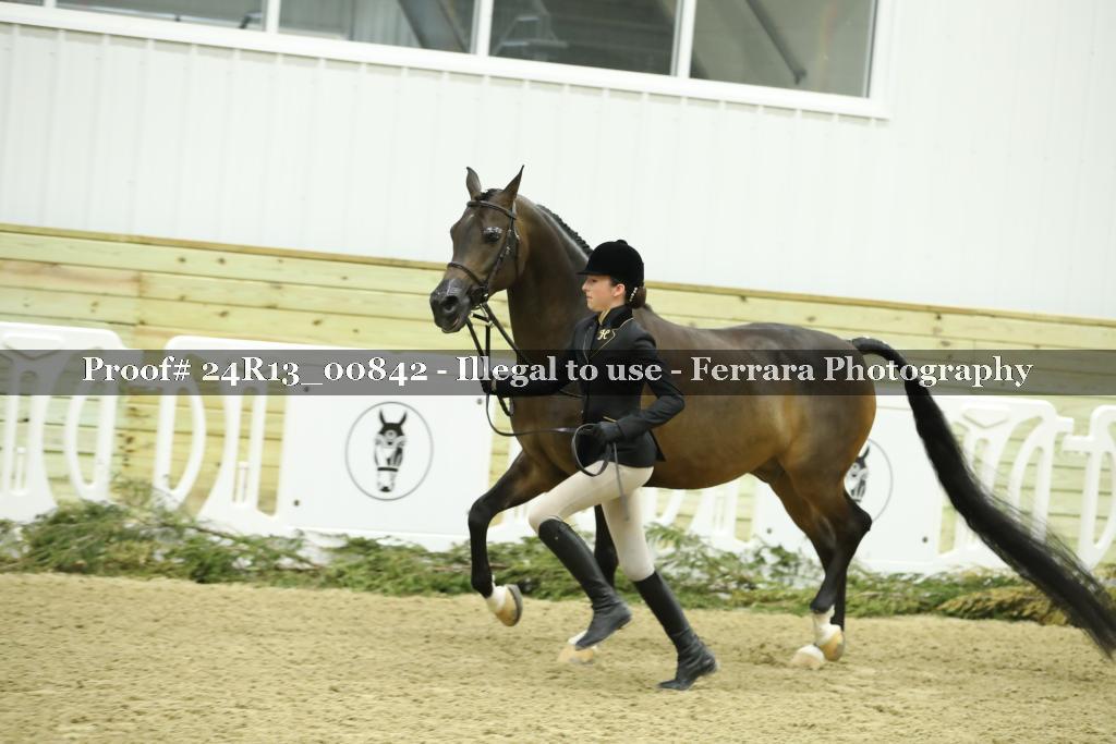 Proof 24R13_00842