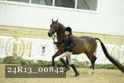 24R13_00842 proof