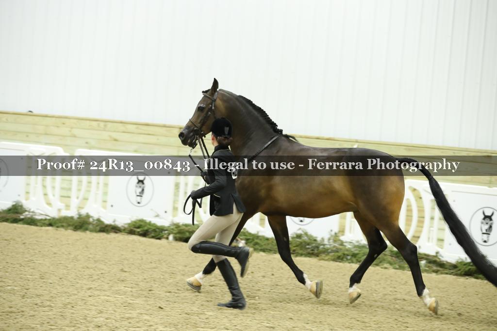 Proof 24R13_00843
