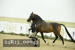 24R13_00843 proof