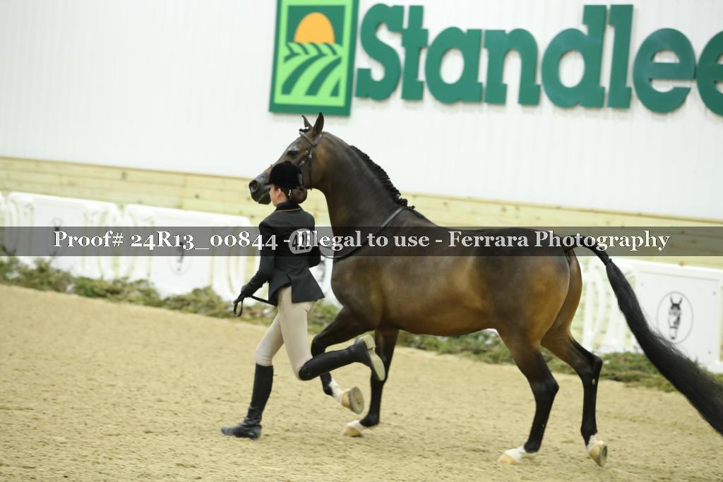 Proof 24R13_00844