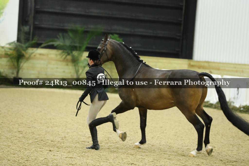 Proof 24R13_00845