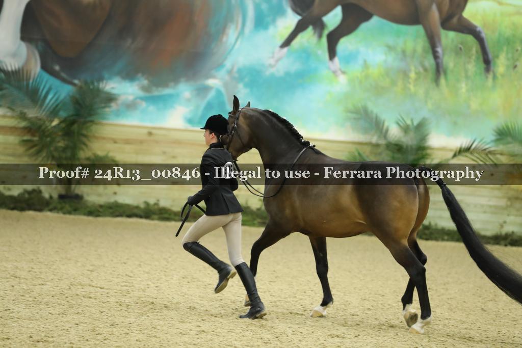 Proof 24R13_00846