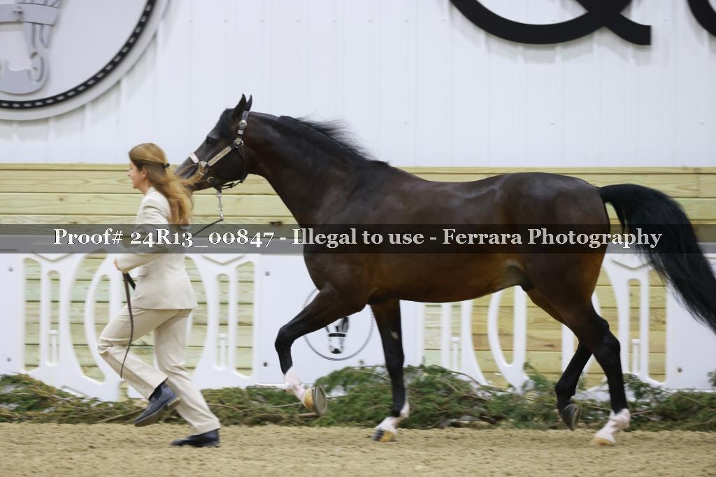 Proof 24R13_00847