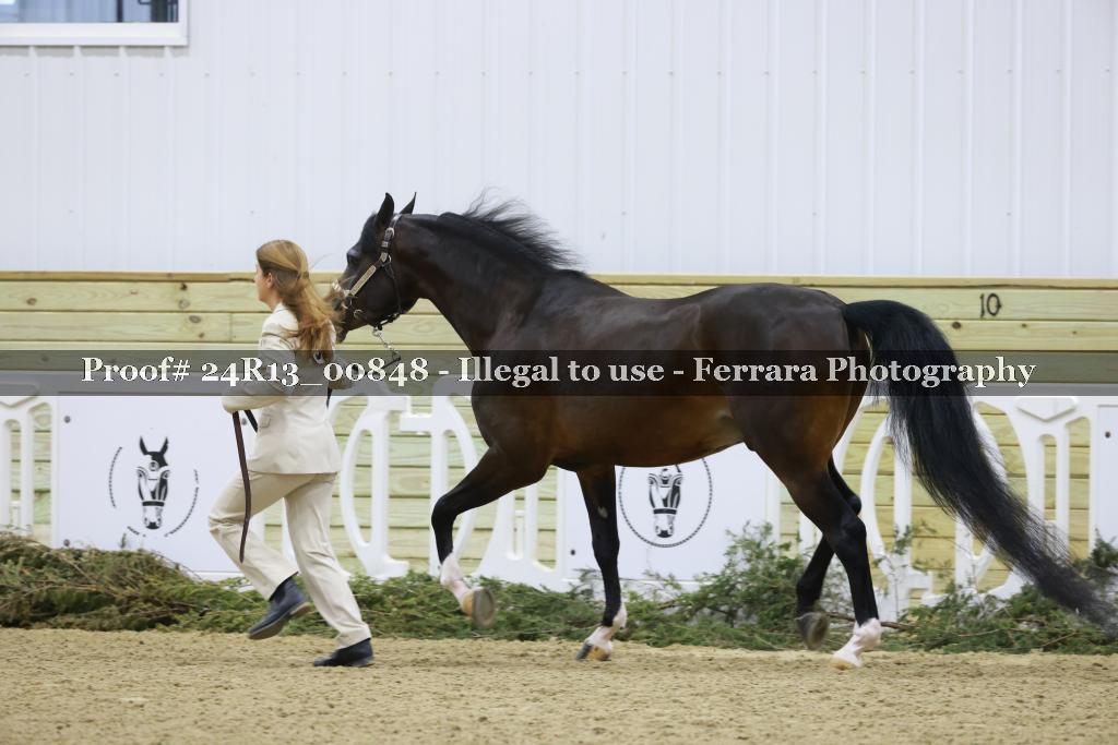 Proof 24R13_00848
