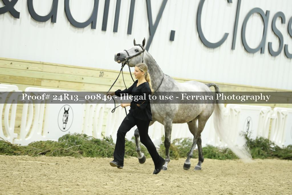 Proof 24R13_00849