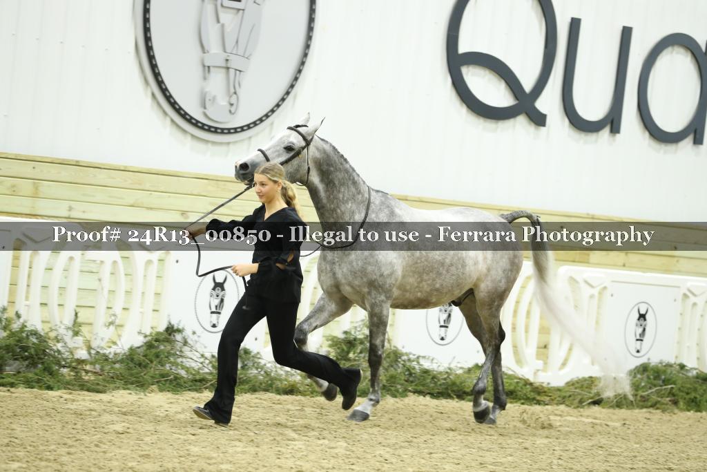 Proof 24R13_00850