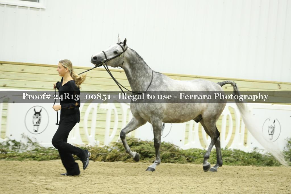 Proof 24R13_00851