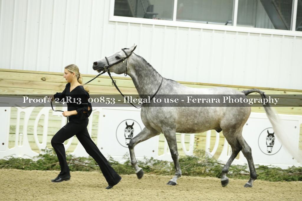 Proof 24R13_00853