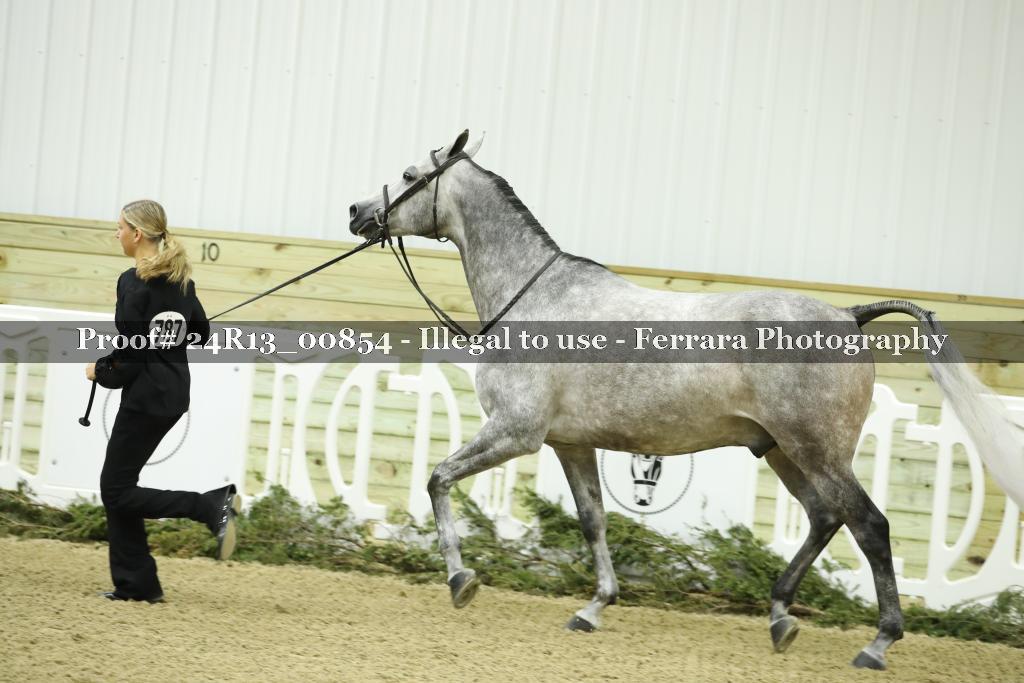 Proof 24R13_00854