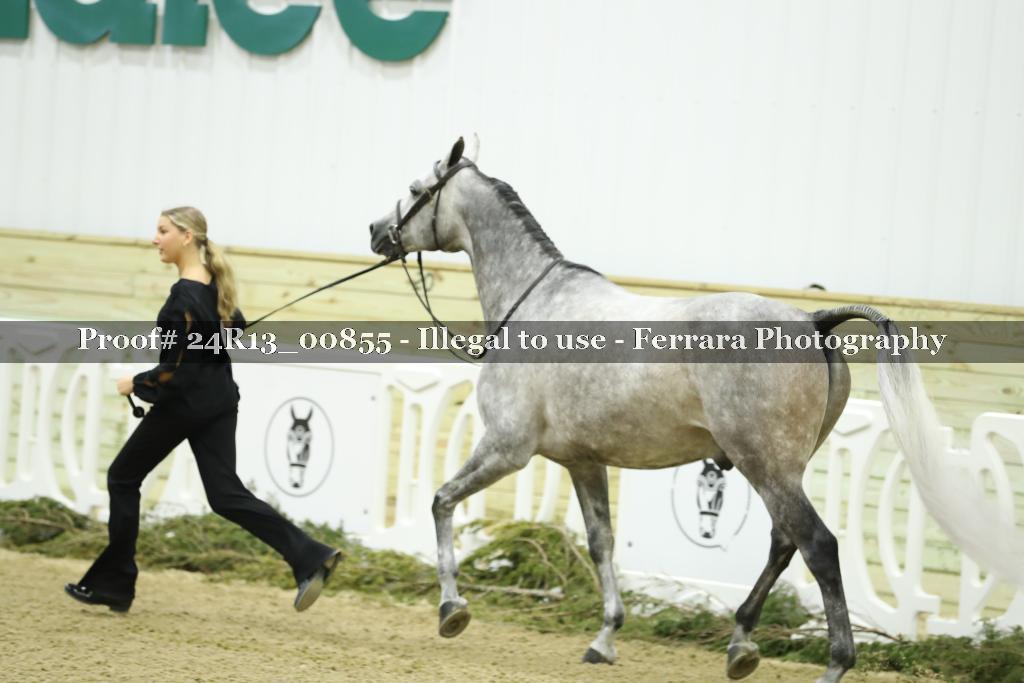 Proof 24R13_00855