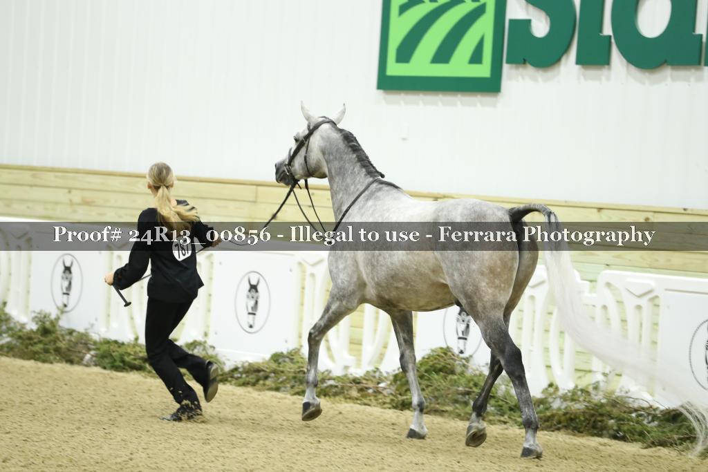 Proof 24R13_00856