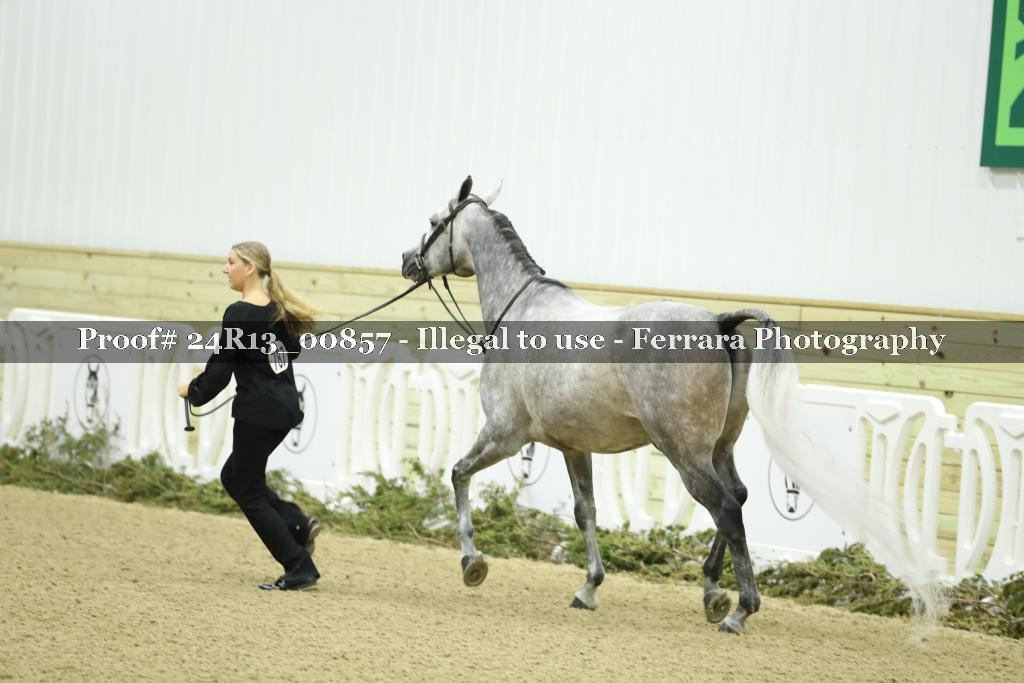 Proof 24R13_00857