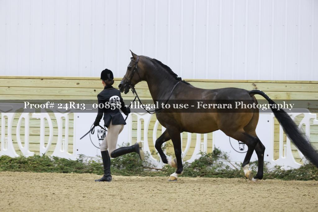 Proof 24R13_00858