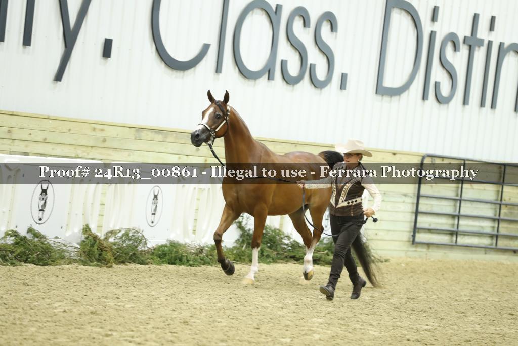 Proof 24R13_00861