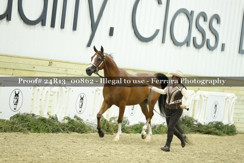 Proof 24R13_00862