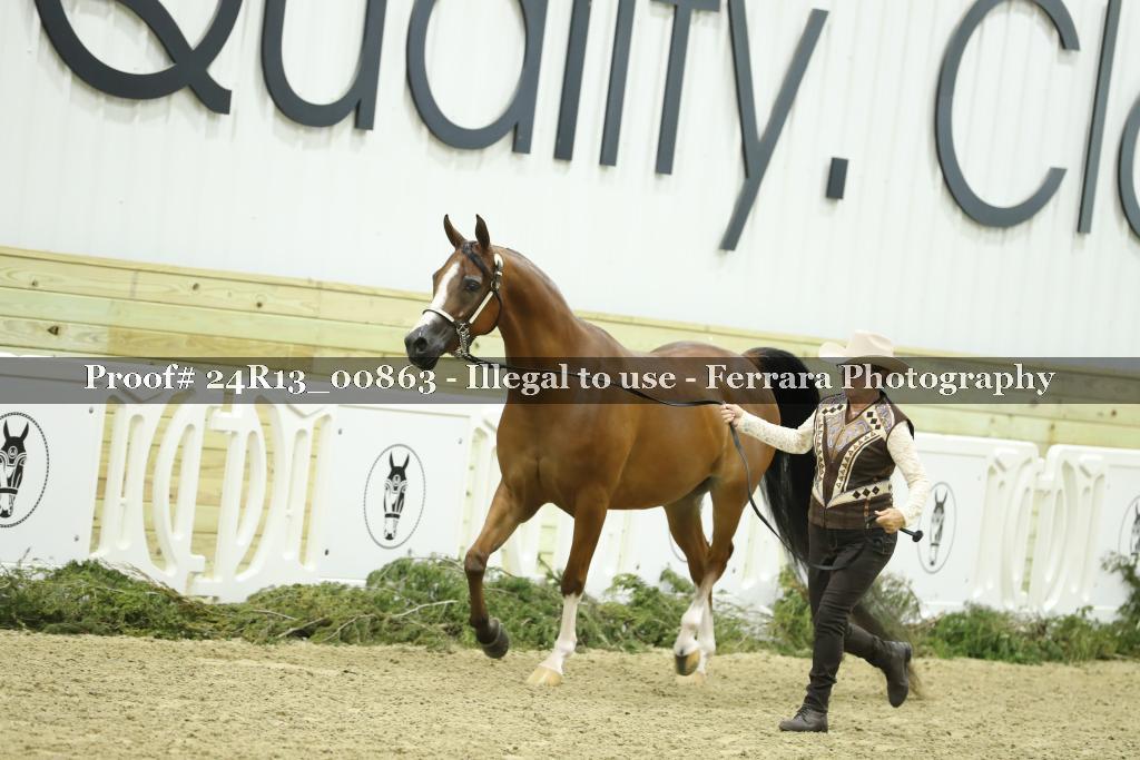 Proof 24R13_00863