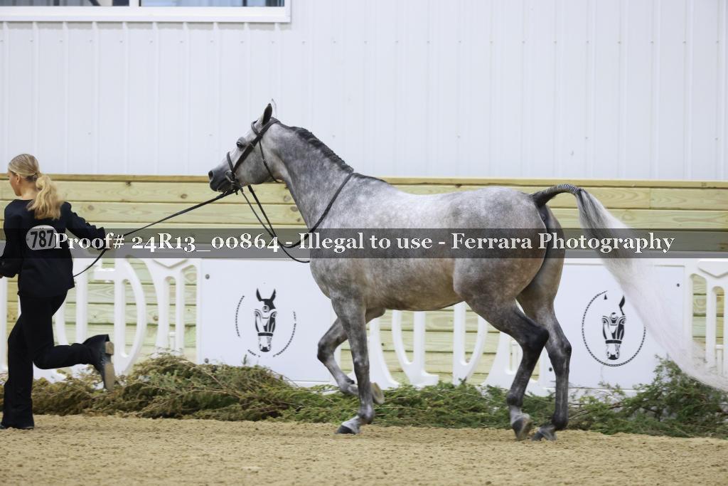 Proof 24R13_00864