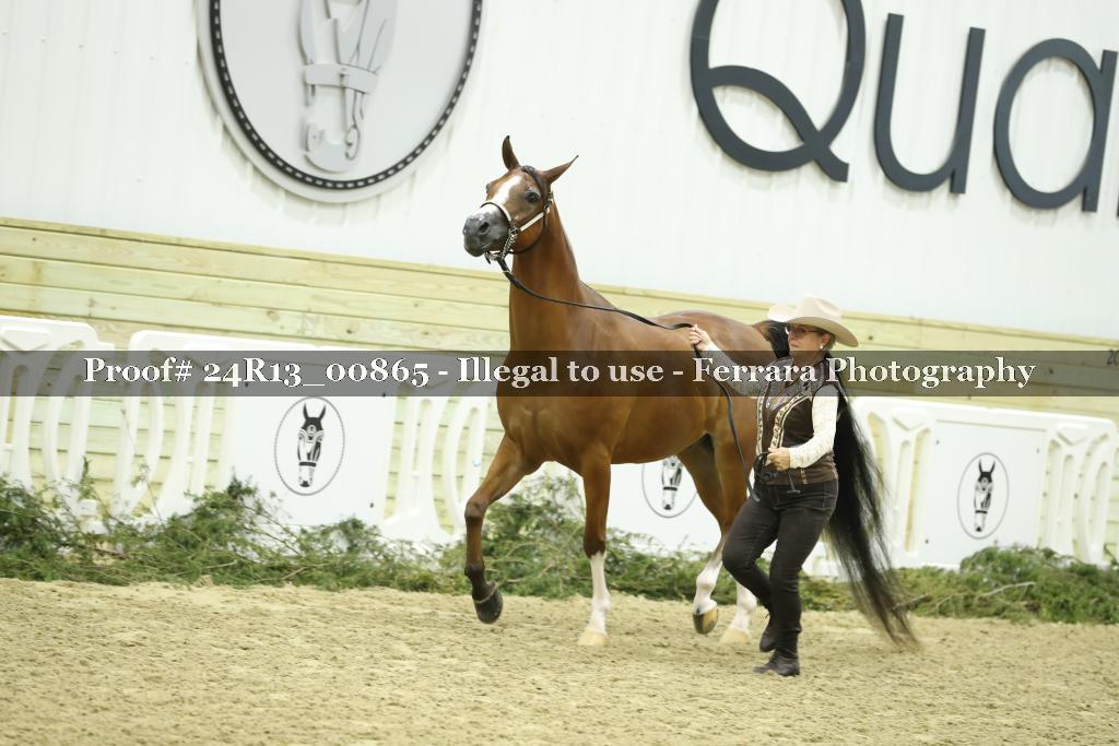 Proof 24R13_00865
