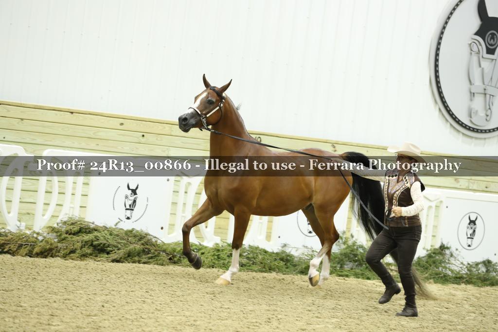 Proof 24R13_00866