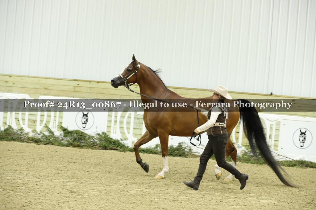 Proof 24R13_00867