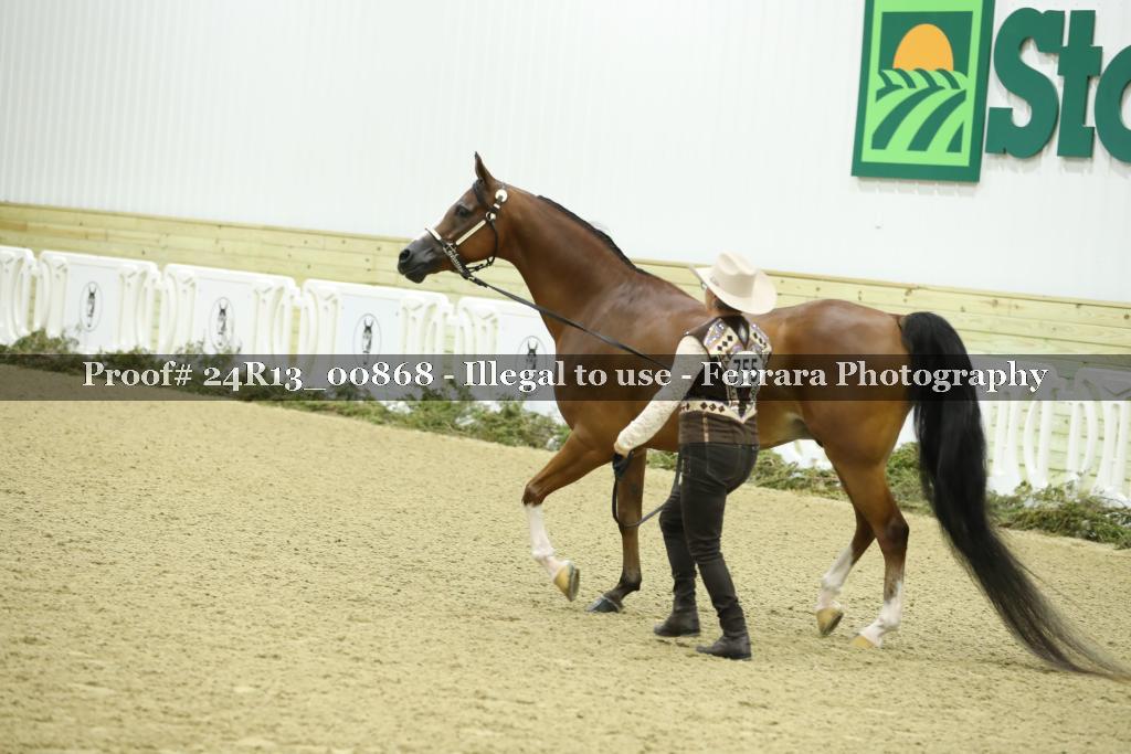 Proof 24R13_00868