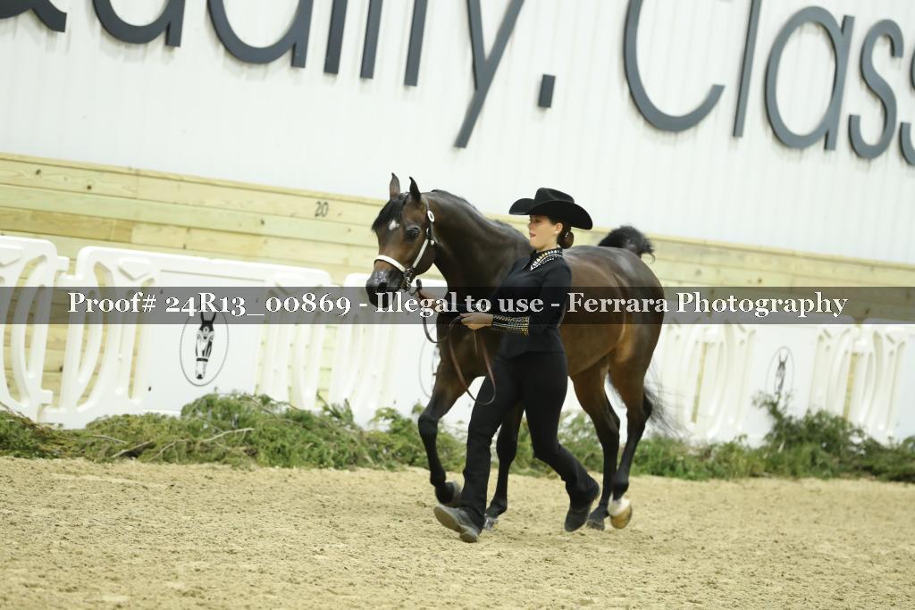 Proof 24R13_00869