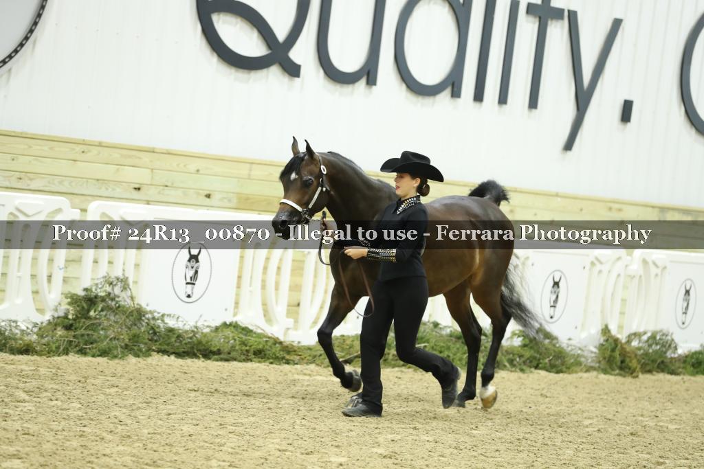 Proof 24R13_00870