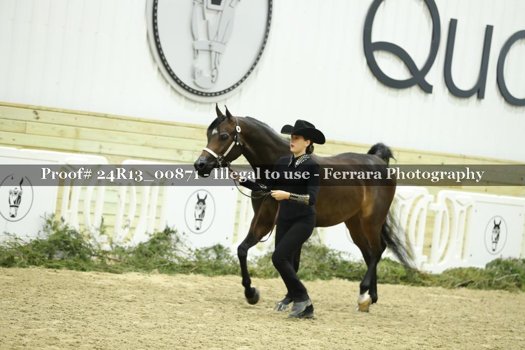 Proof 24R13_00871