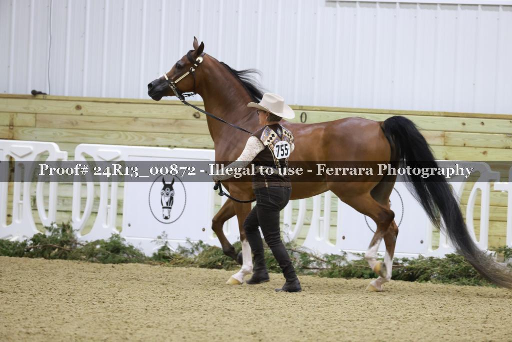 Proof 24R13_00872
