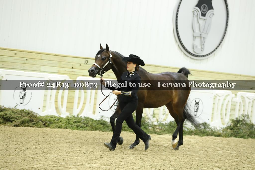Proof 24R13_00873