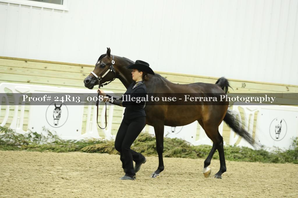 Proof 24R13_00874